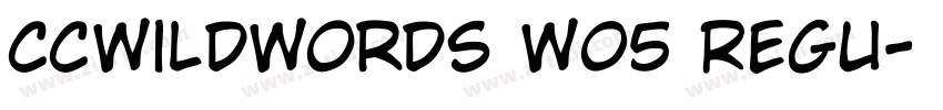 CCWildWords W05 Regu字体转换
